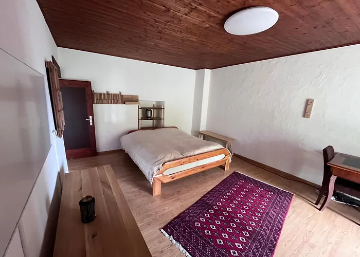 Schoenes Rustico In Bester Lage - 2 Min An Den Brissago